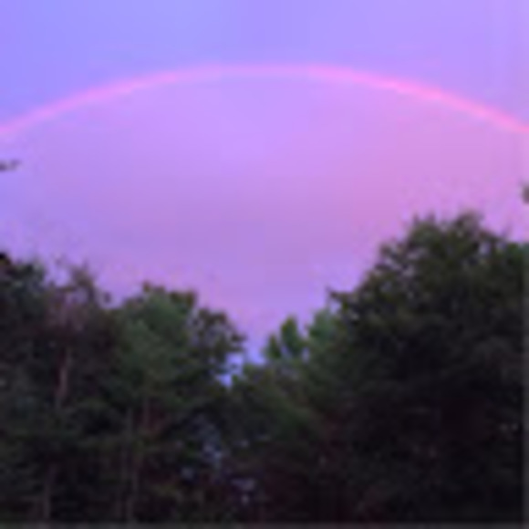 Meet your Posher, Lexie - Picture 1 of 1